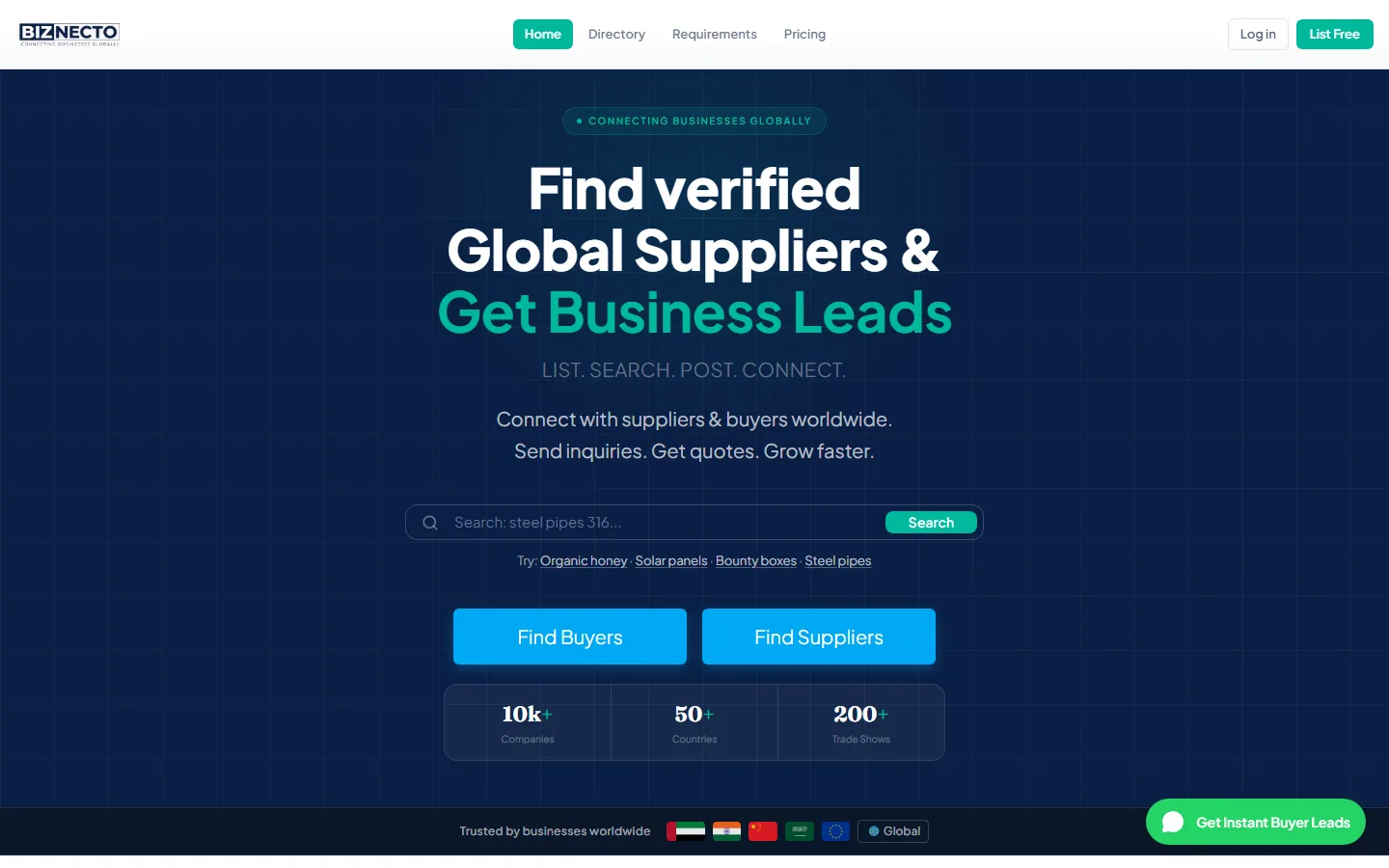 Biznecto website preview